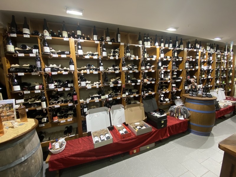 FÊTE DES VINS d’Automne 2023